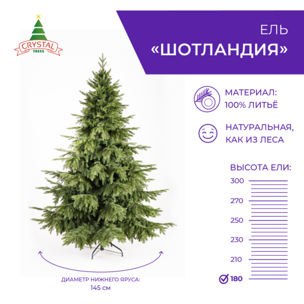 Ель ШОТЛАНДИЯ 180 см