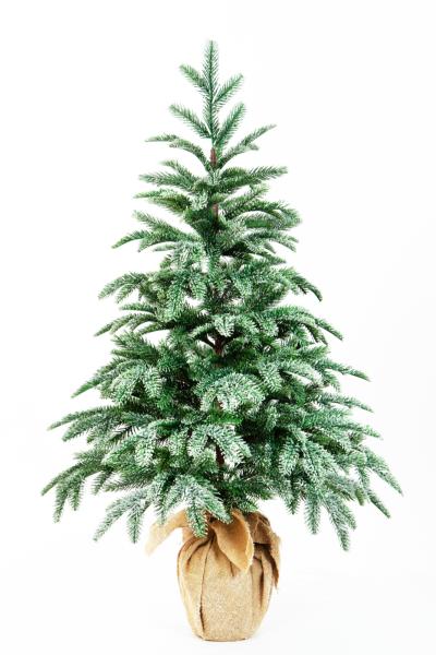 Ель ВИСКРИ заснеженная