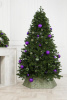 Ель МЕТЕЛИЦА 230 см