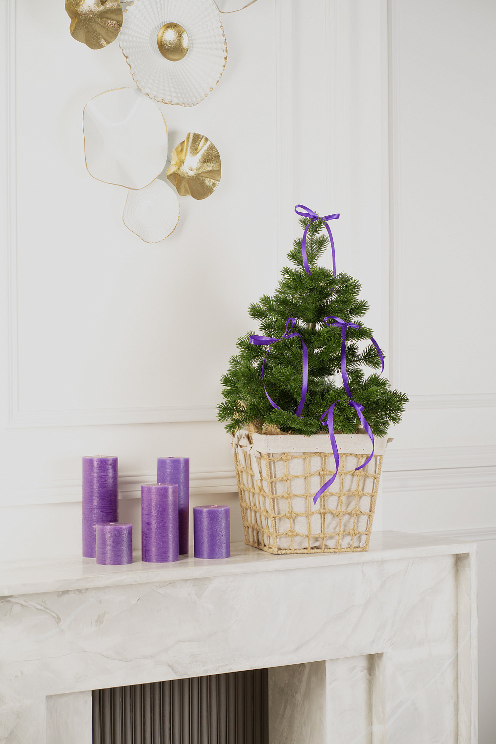 Ель МЕТЕЛИЦА