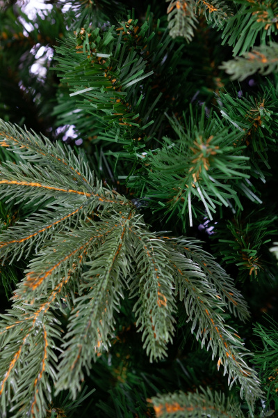 Ель МАТТЕРХОРН