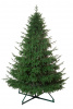 Ель ШОТЛАНДИЯ интерьерная