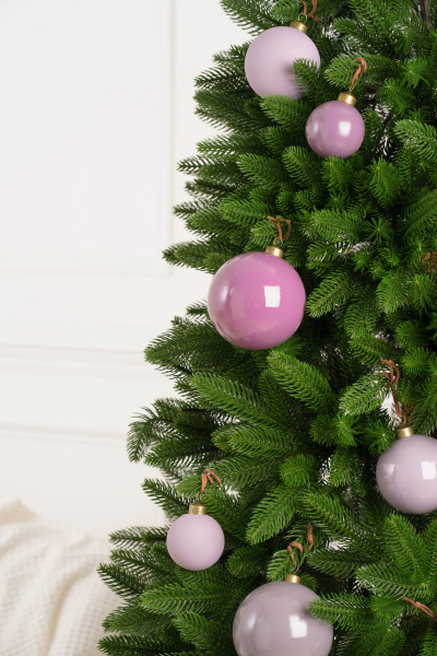 Ель МОРОЗКО