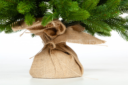 Ель ТРИУМФ с вплетенной гирляндой