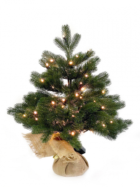 Ель ЦАРСКАЯ КОРОНА с вплетенной гирляндой 90 см.