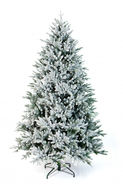 Ель ПЕРСЕЯ в снегу