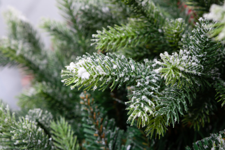 Ель ЛАКИ заснеженная с ягодами