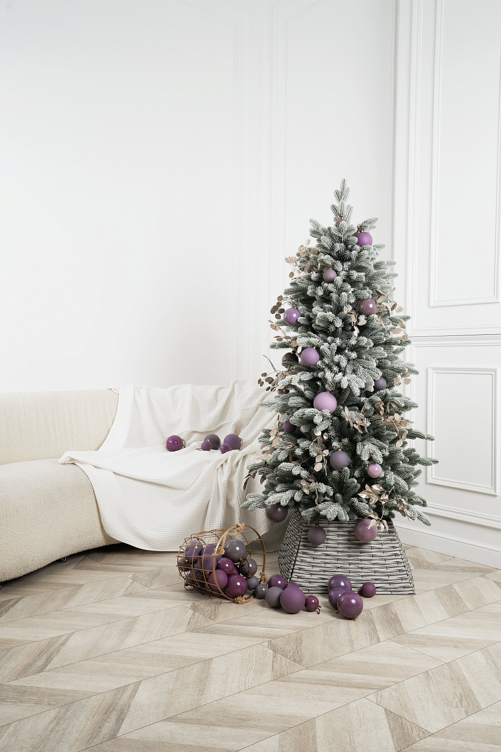 Ель БАРСЕЛОНА в снегу