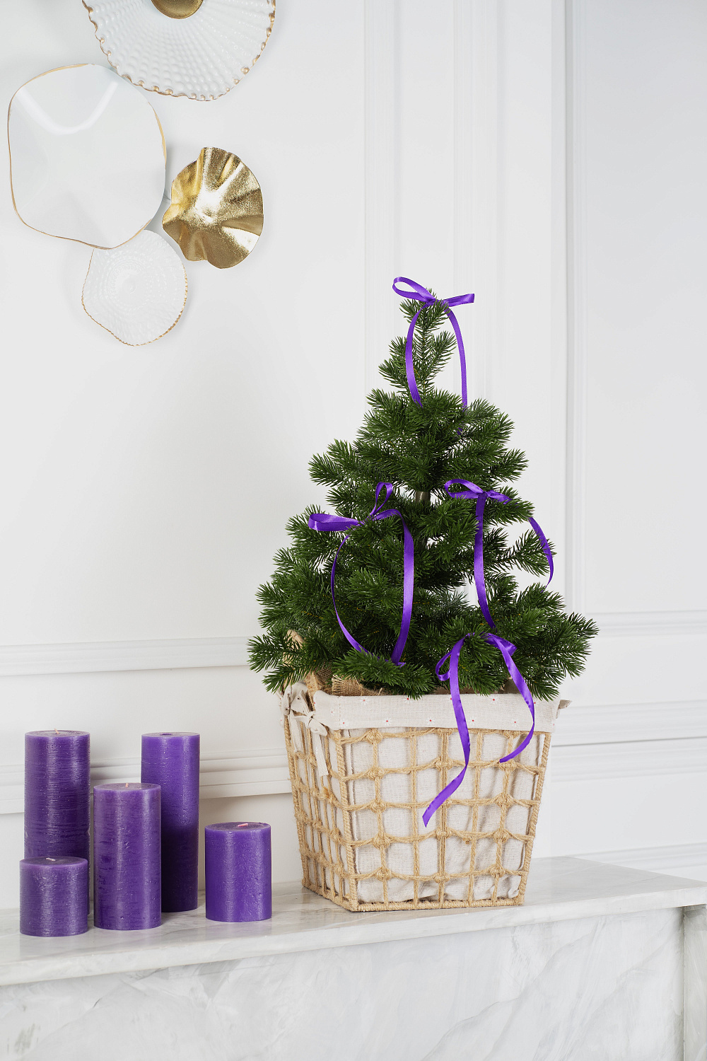 Ель МЕТЕЛИЦА