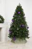 Ель МЕТЕЛИЦА 250 см