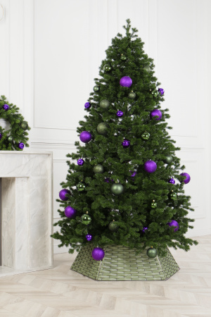 Ель МЕТЕЛИЦА 250 см