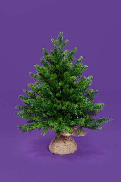 Ель ТРИУМФ с вплетенной гирляндой 60  см